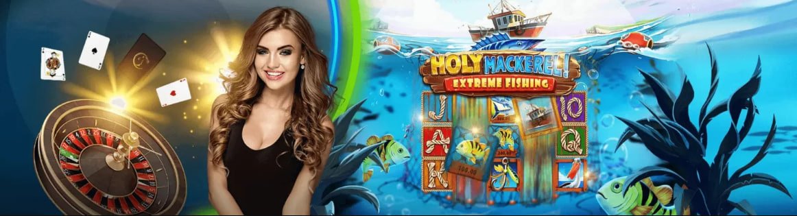 Tampilan responsif platform Live Casino domba33 di berbagai perangkat digital pengguna